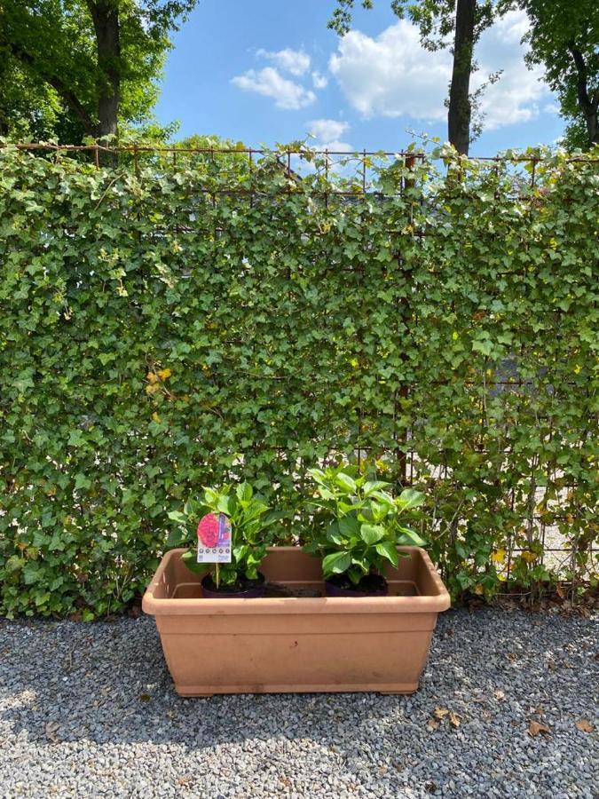 Chalet Valkenbosch Groenvink 85 Oisterwijk Zewnętrze zdjęcie